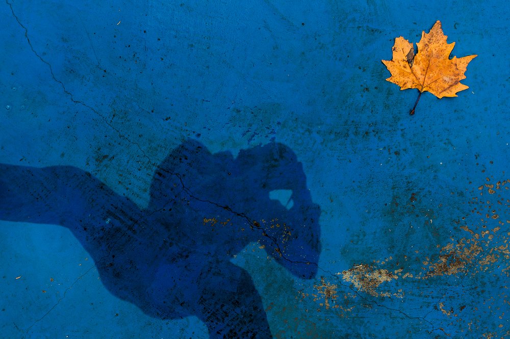 Photograph by Bojan Dzodan