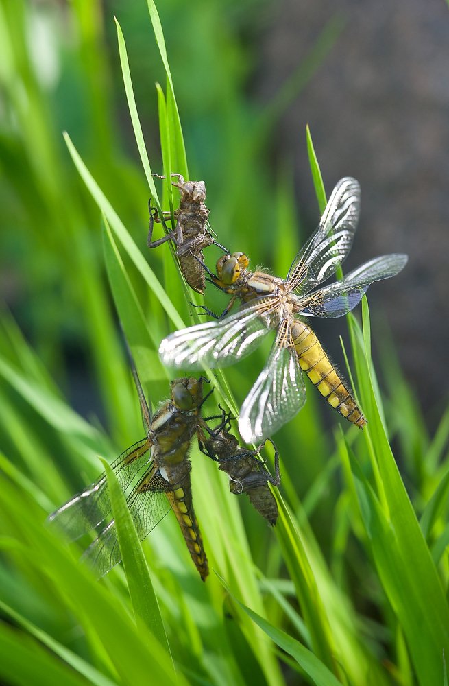 Photograph by Igor Ryzhov