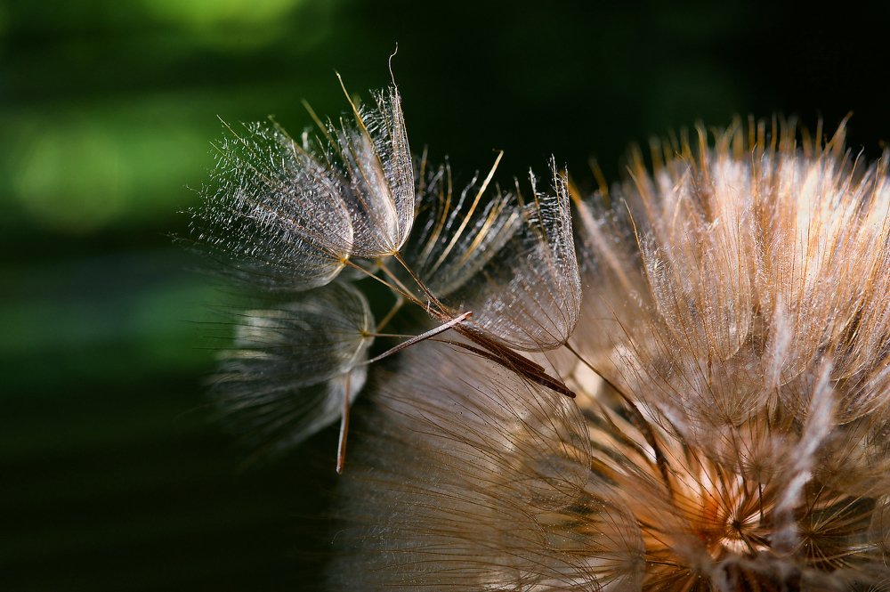 Photograph by Igor Ryzhov