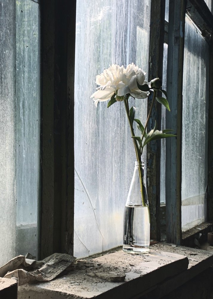 Photograph by Ирина Тимонина