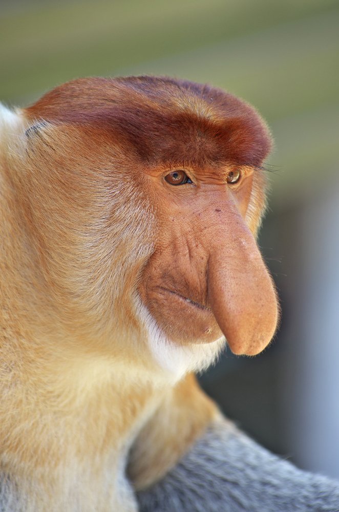 Photograph by Екатерина Сысоева