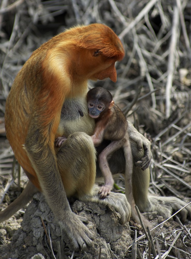 Photograph by Екатерина Сысоева