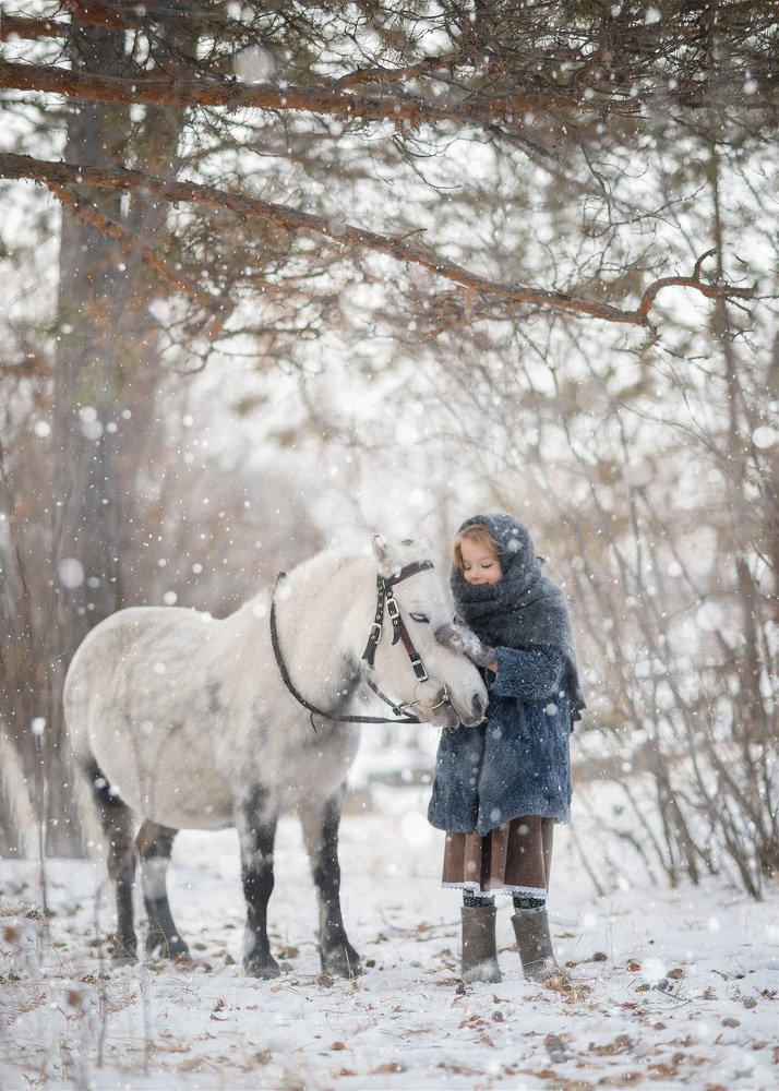 Зимняя прогулка