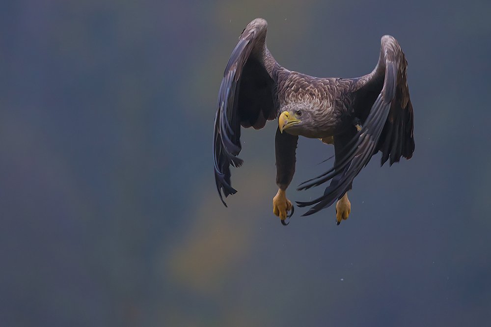 Photograph by Wieńczysław Rak