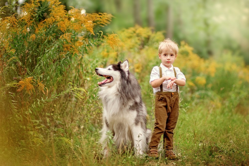 На лесной тропе