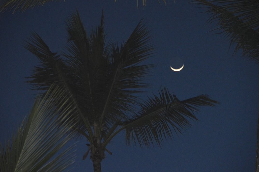 Photograph by Александр Михеев