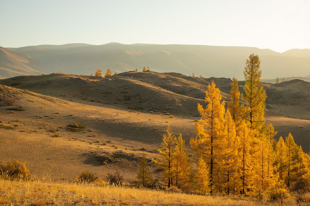 Photograph by Алексей Кустов