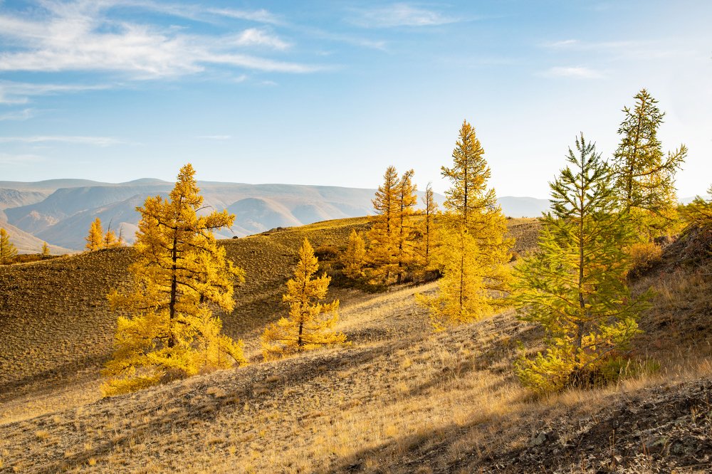 Photograph by Алексей Кустов