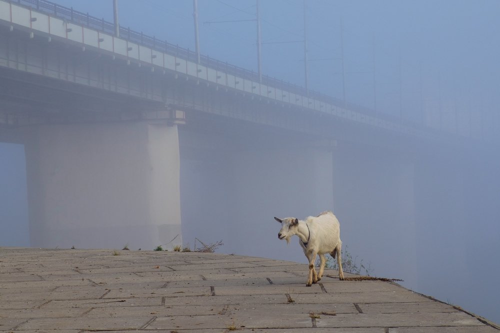 Photograph by Сычев Эдуард