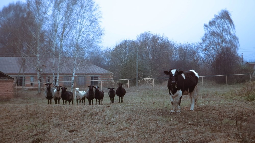 Photograph by Юлия Карпова