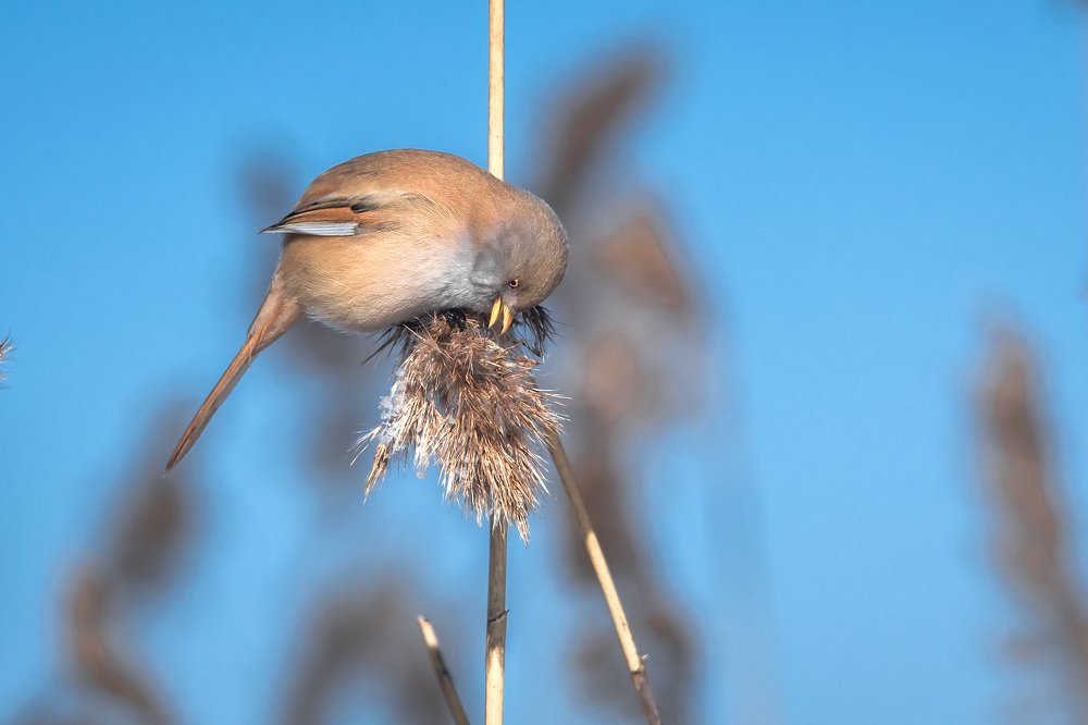 Ням, как вкусно!