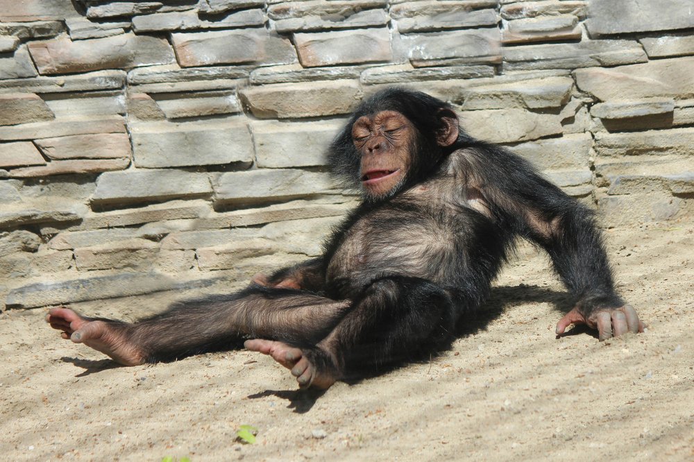 Photograph by Головина Ольга