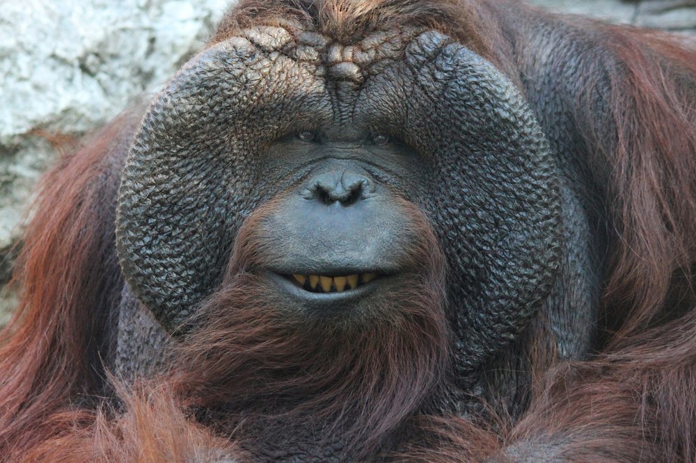 Photograph by Головина Ольга