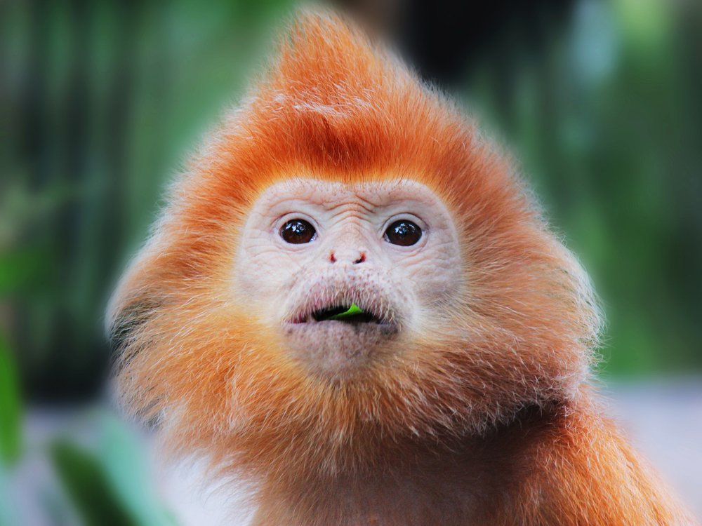 Photograph by Головина Ольга