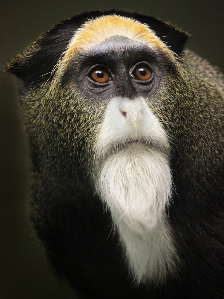 Photograph by Головина Ольга