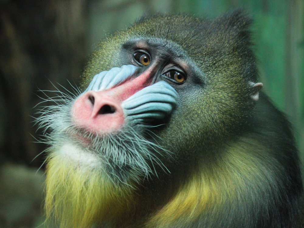 Photograph by Головина Ольга