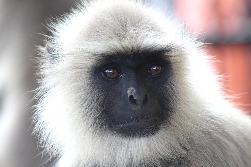 Фотография автора Vivek Tavate