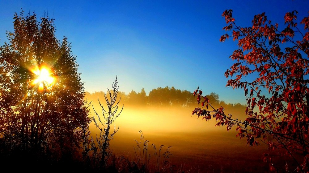 Photograph by Борис Каширин