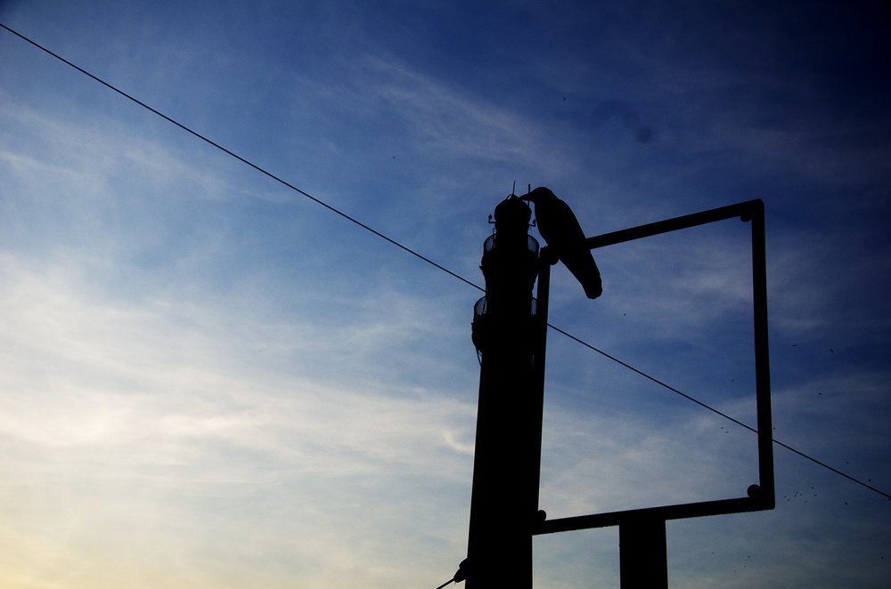 Photograph by Tanay Saha