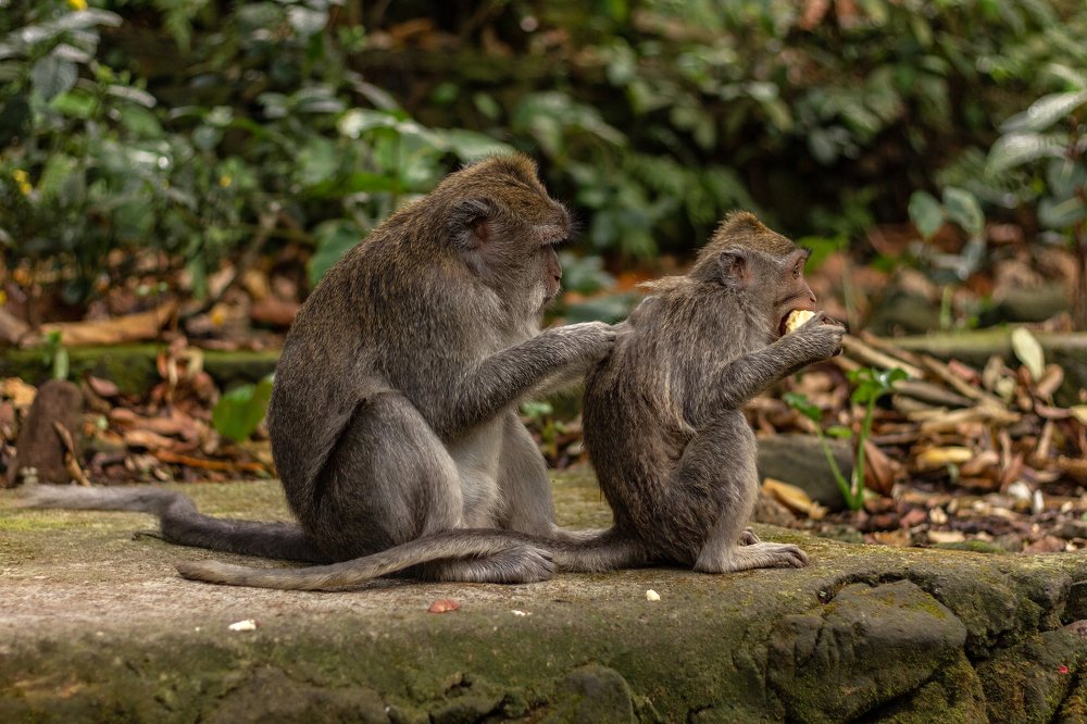 Photograph by Татьяна Тимофеева