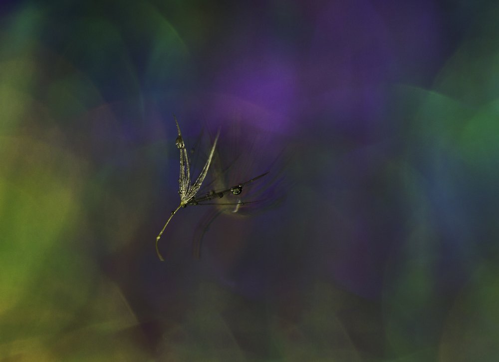 Краски лета