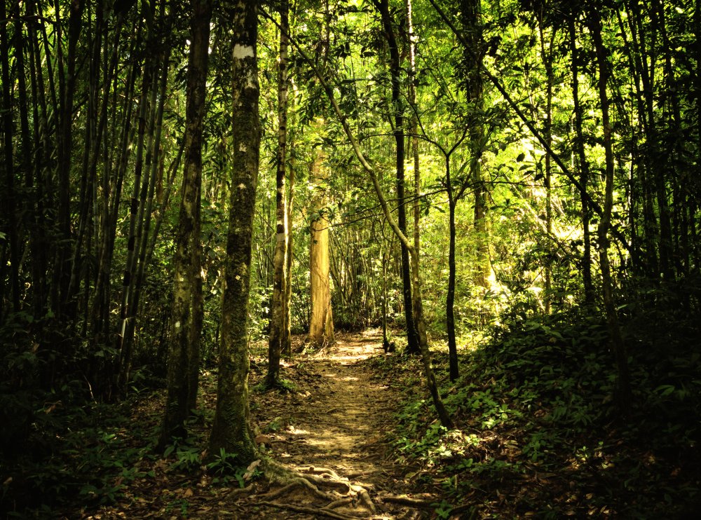 Photograph by Вячеслав Генрих