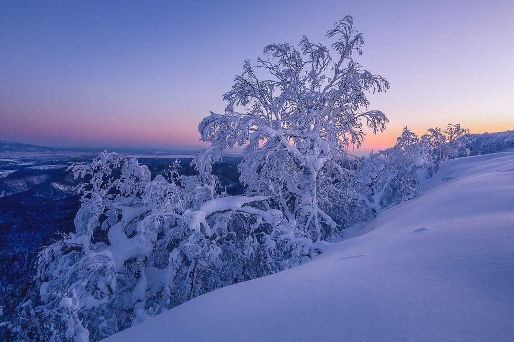 Упираясь в небосвод