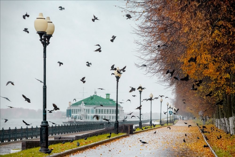 Разрешите пройти !!!!