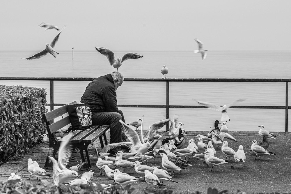 Photograph by Schewzow Lana