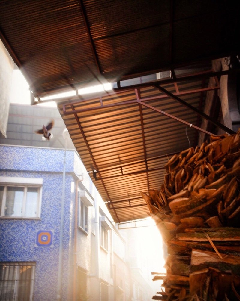 Photograph by Nina Malivanova