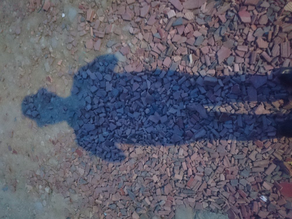 Fofogafía de mi sombra