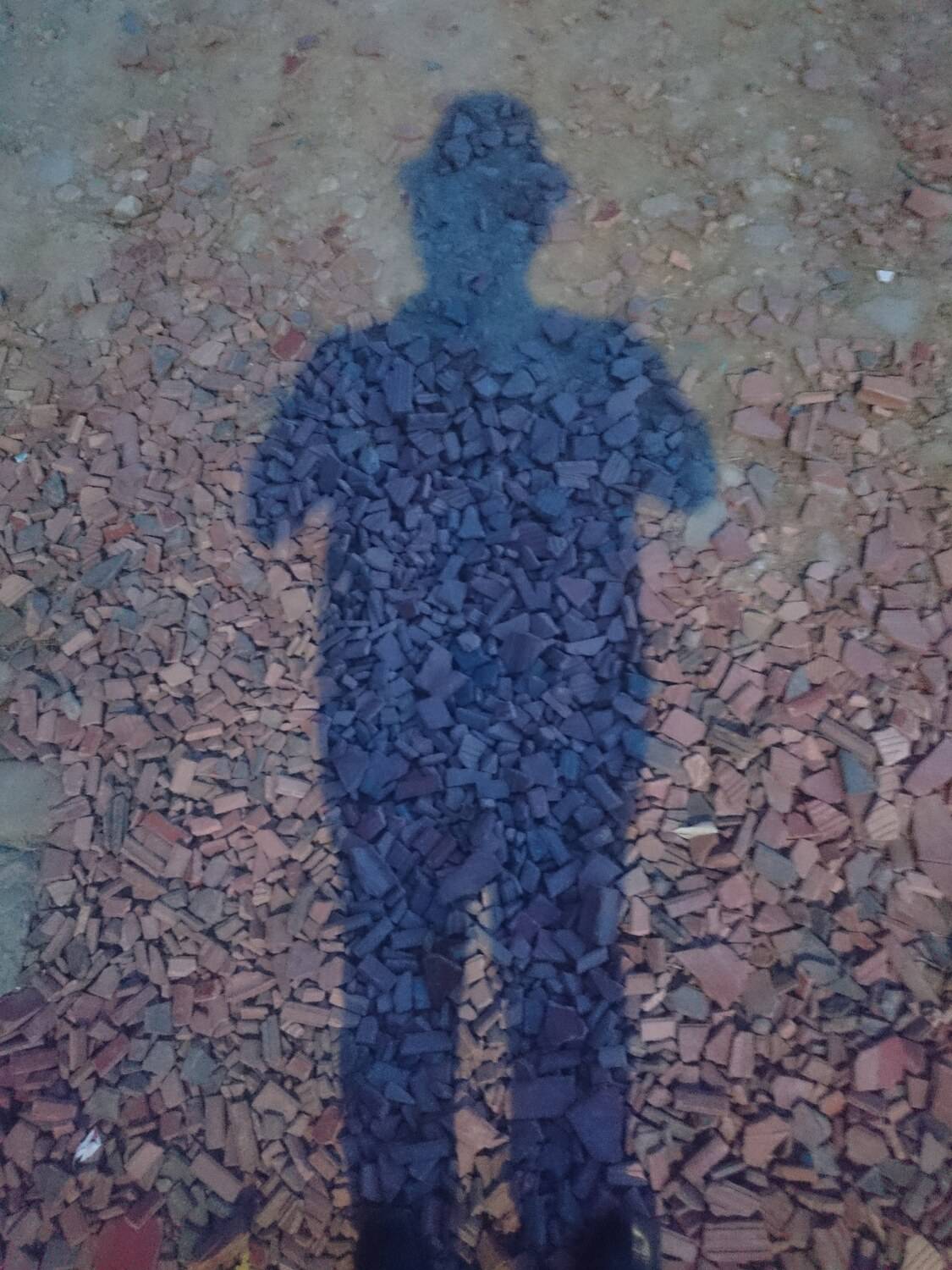 Fofogafía de mi sombra