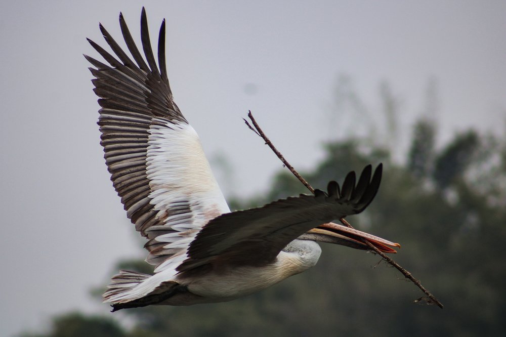 Photograph by Sahitya Murali
