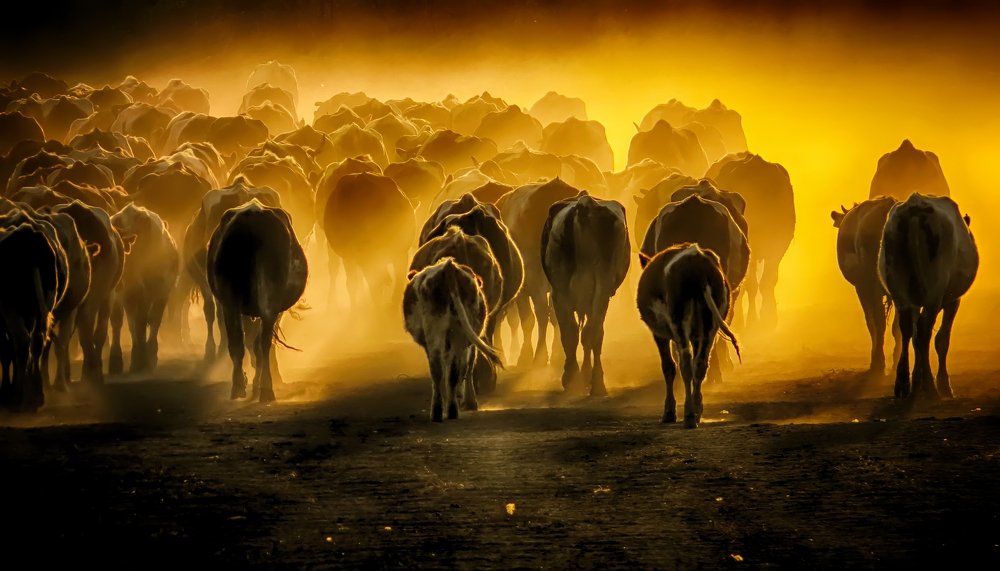 Photograph by Milanka Dimic