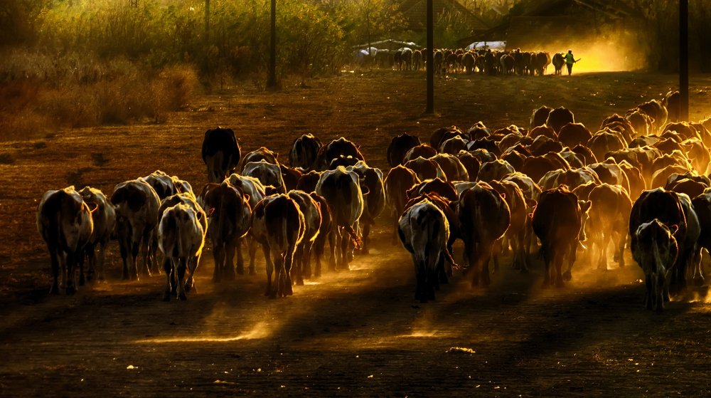 Photograph by Milanka Dimic