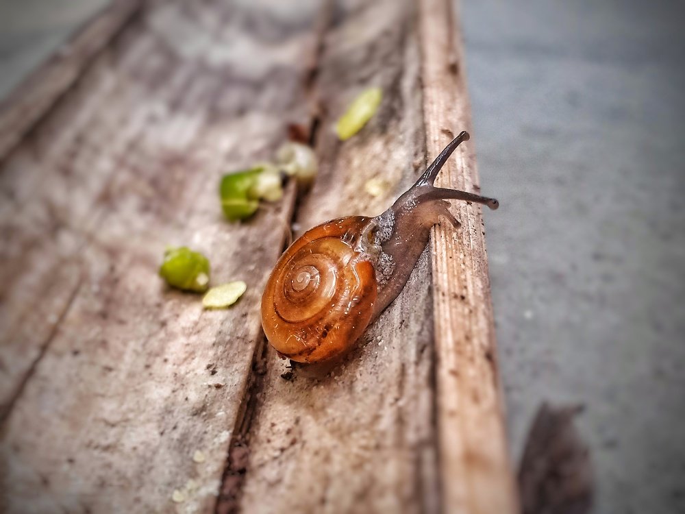 Photograph by Kshitij Santosh Jadhav