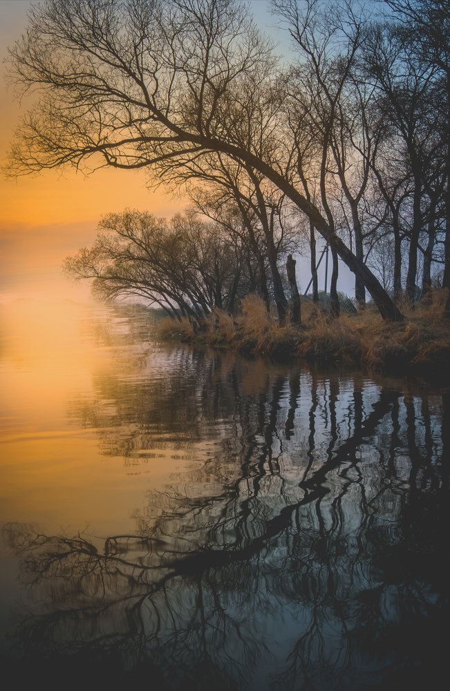 Фотография автора Константин Яковлев