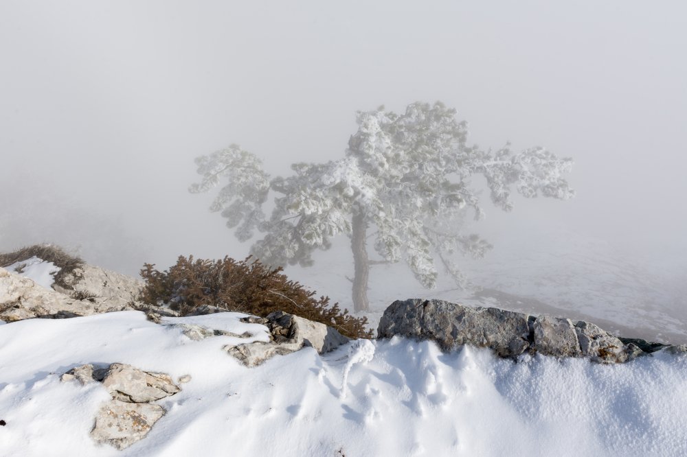 Photograph by Письменскова Анна