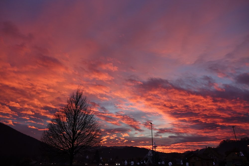 Photograph by Davorin Poki Simona