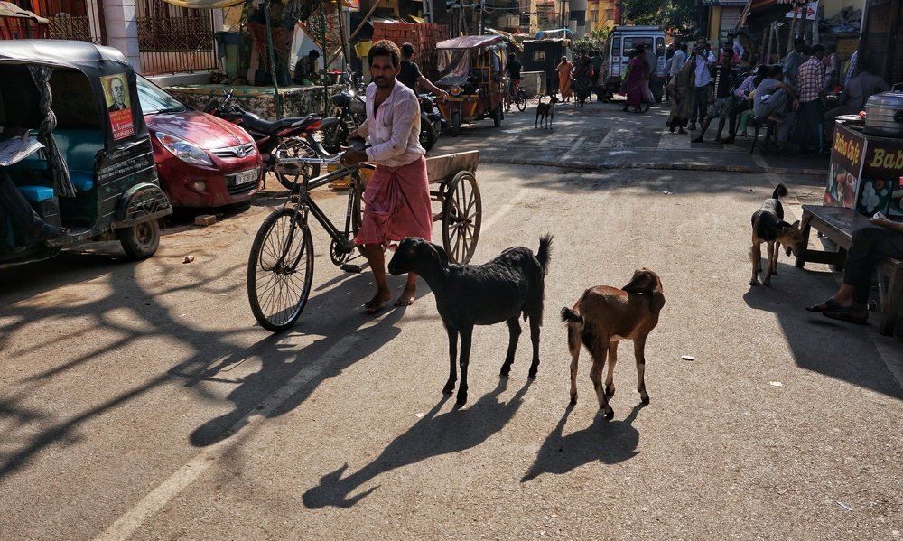 Фотография автора Mridul Chaudhary