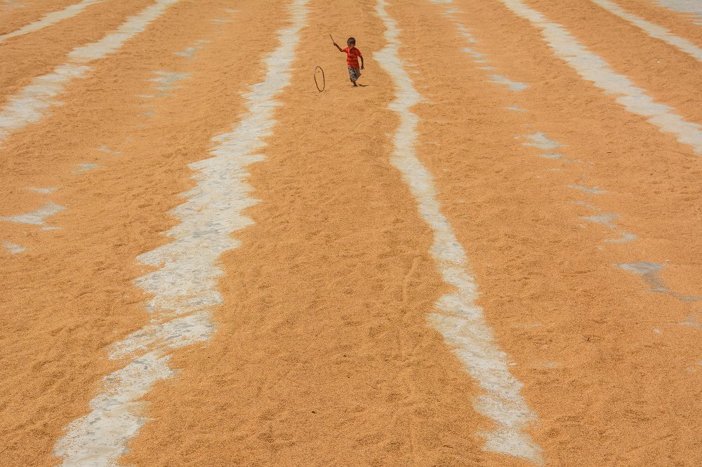 Photograph by Mehedi Emon