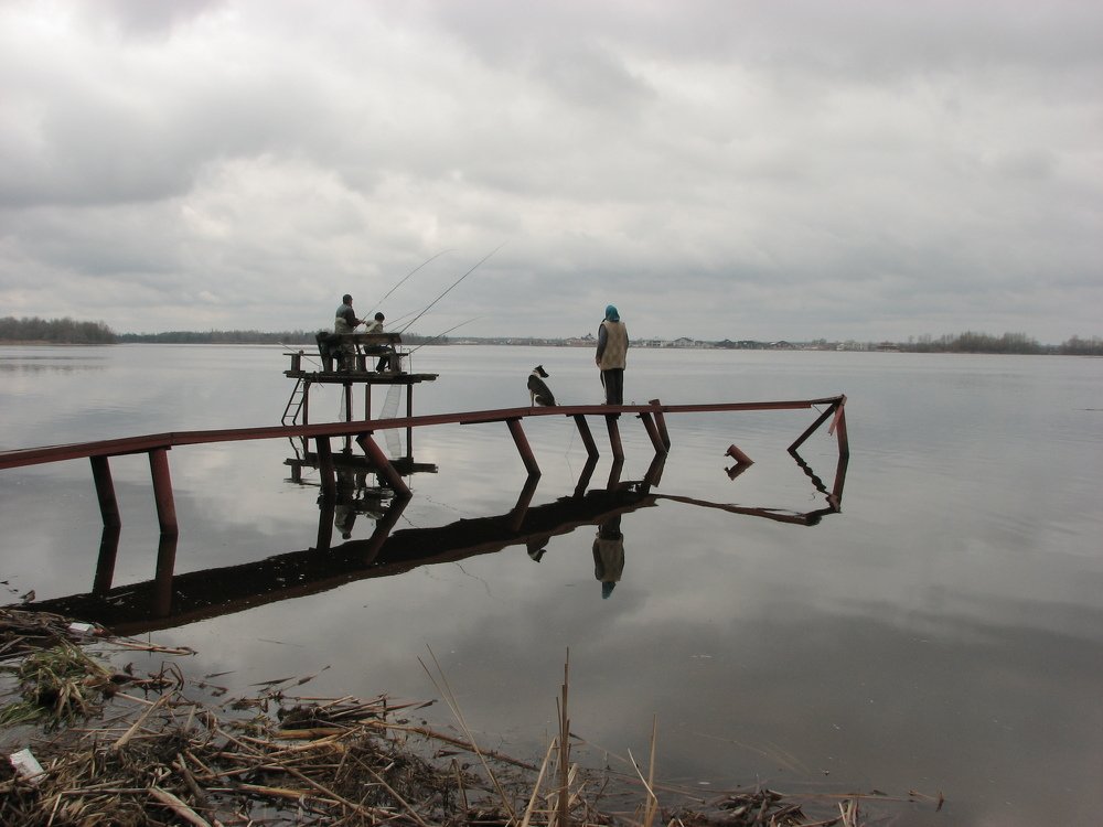 Фотография автора Владимир Брызгунов