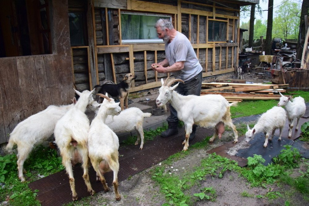 Пора обедать