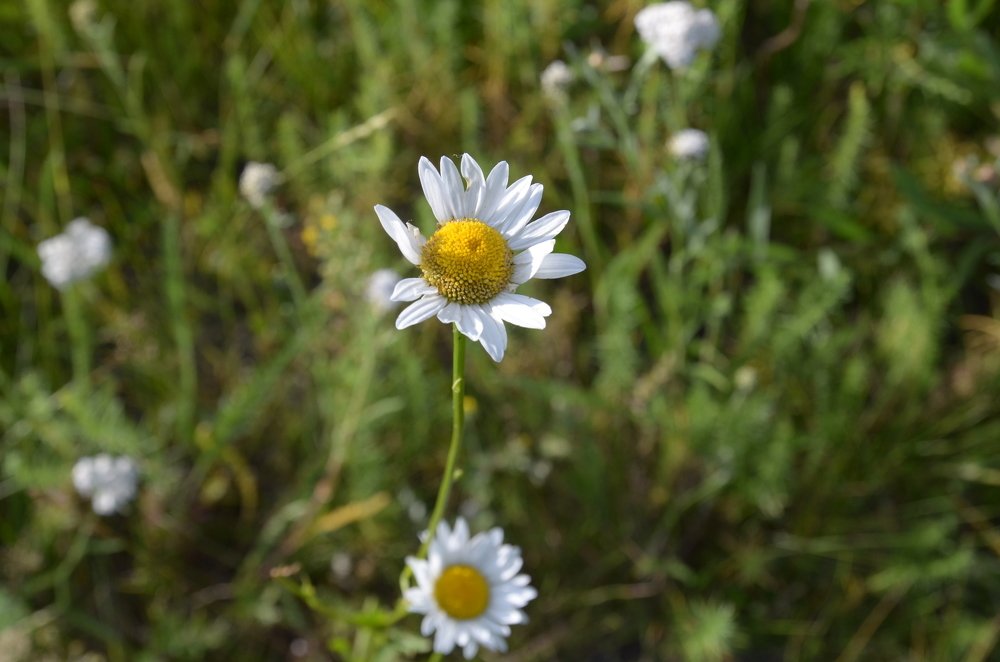 Фотография автора Владимир Брызгунов