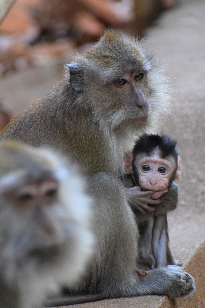 Mother's Love