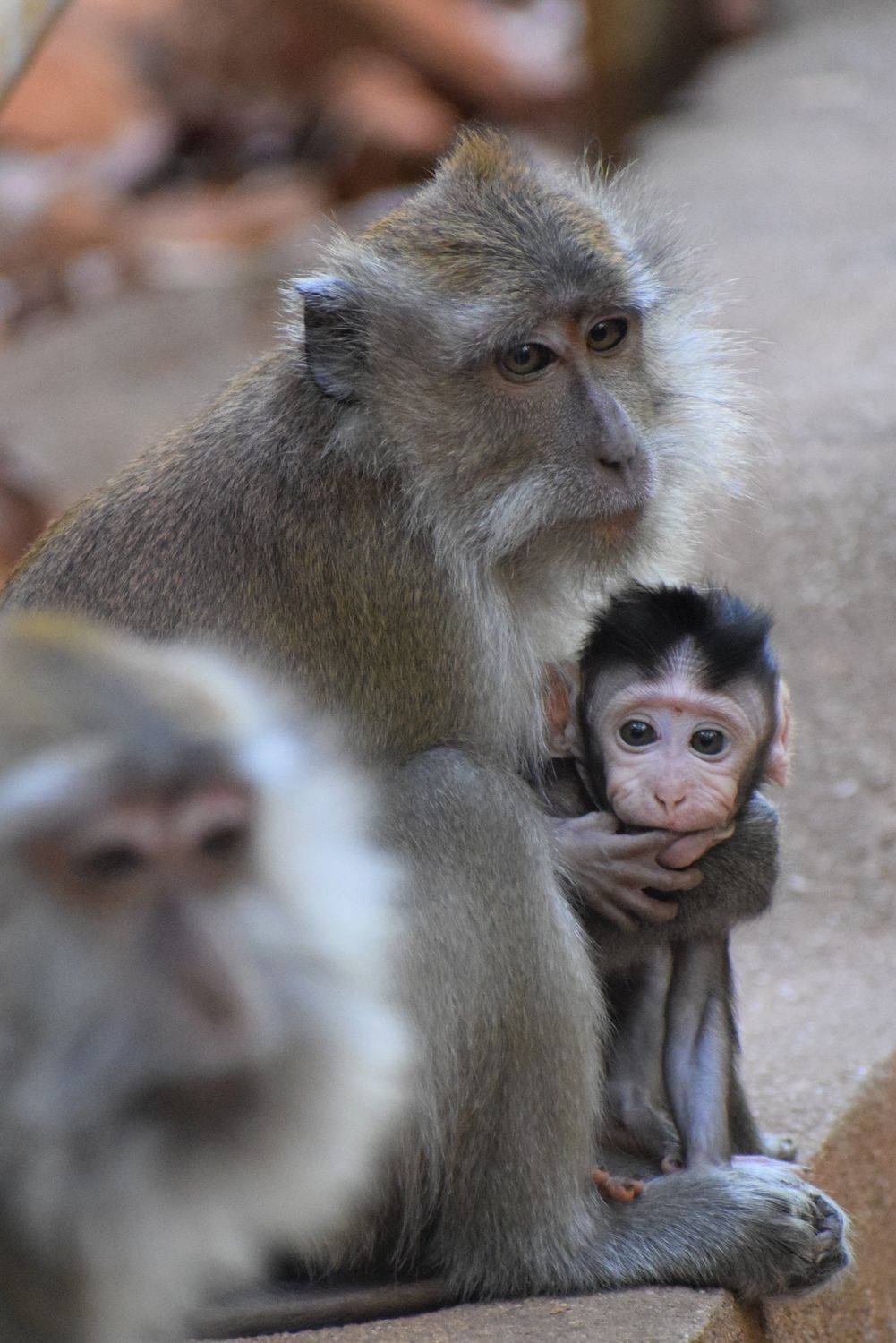 Mother's Love