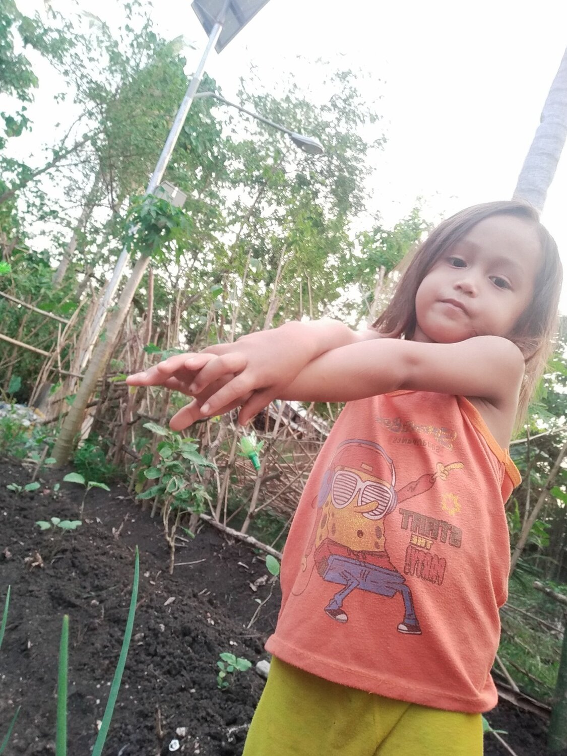 Photo #4108313