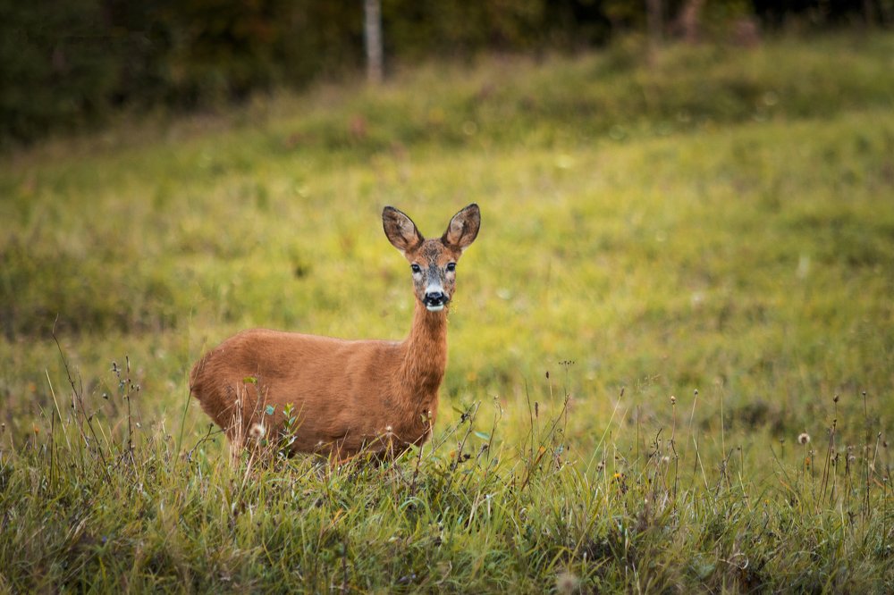 Photograph by Tautu Mihnea