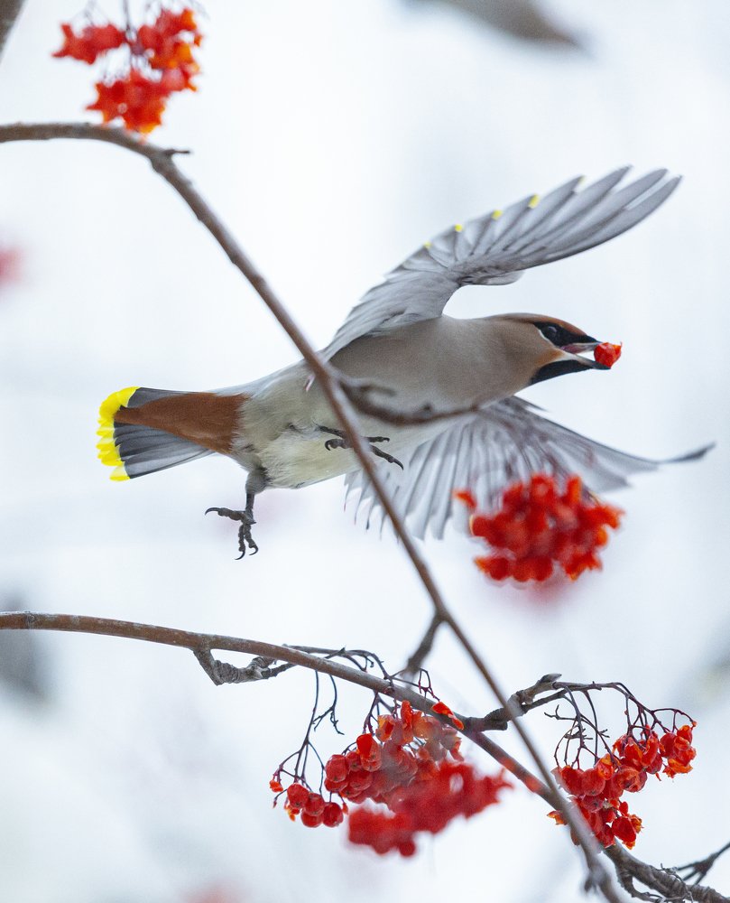 Photograph by Елена Дзюба
