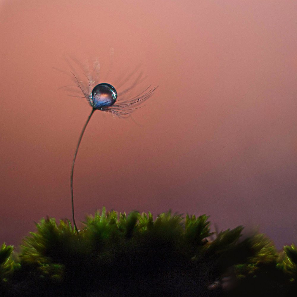 Photograph by Ирина Голомако